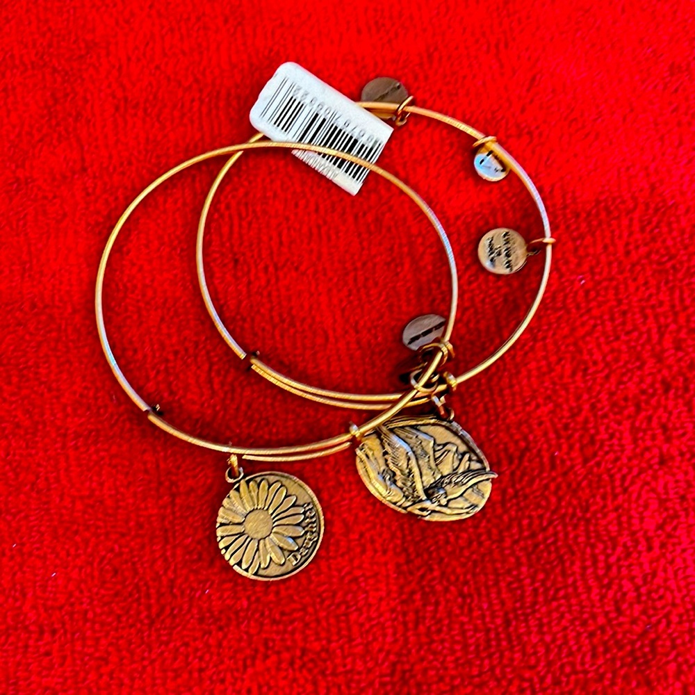 Alex and Ani Guardian of Freedom and Daughter - Picture 1 of 1